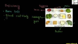 Role of Calcium and Iron