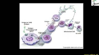 Inborn and Acquired Immunity