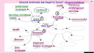 Argumentative Essay Sample-Part-3(writing of essay)