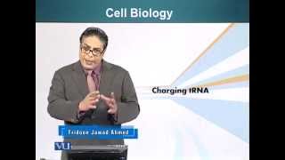BIO201_Topic087