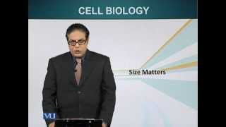 BIO201_Topic015
