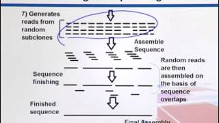 BIF733_Topic047