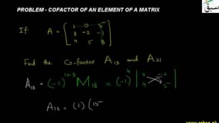 Problem-Cofactor of an Element of a Matrix
