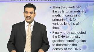 BIO302_Topic037