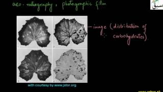 More on Biological and medical uses of radiation