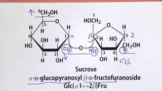 BIO202_Topic024