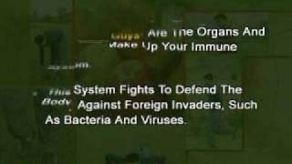 PSY408_Lecture11