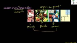 Vital Force Theory