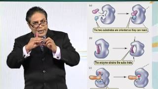 BIO201_Topic030