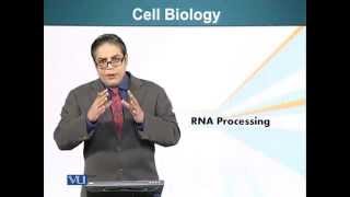 BIO201_Topic097