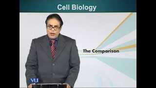 BIO201_Topic046