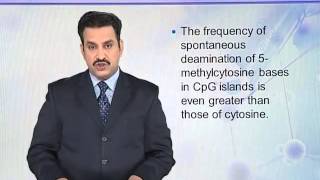 BIO302_Topic061