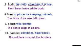 Use Words in Sentences part-3