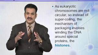 BIO302_Topic031
